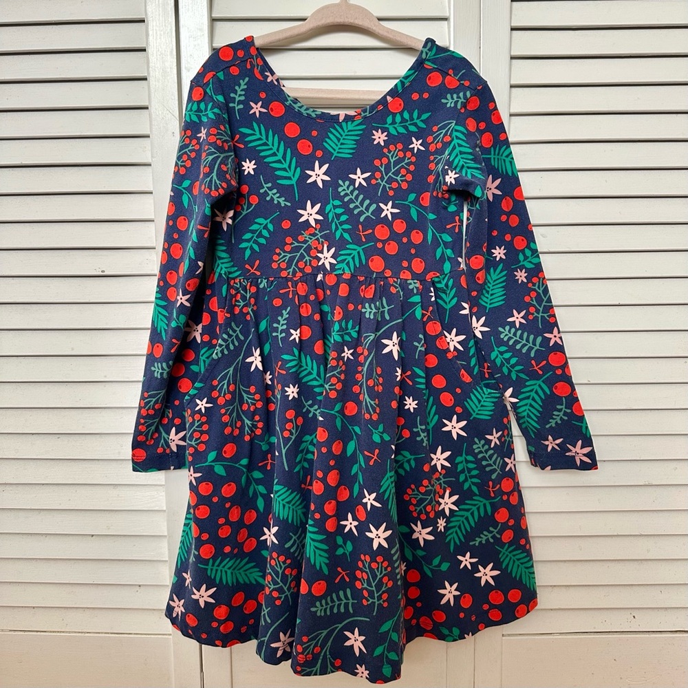 Hanna Andersson Long Sleeve Skater Dress with Pockets